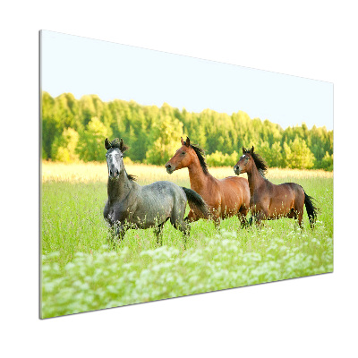 Platte für Küchenrückwand Pferde im Galopp