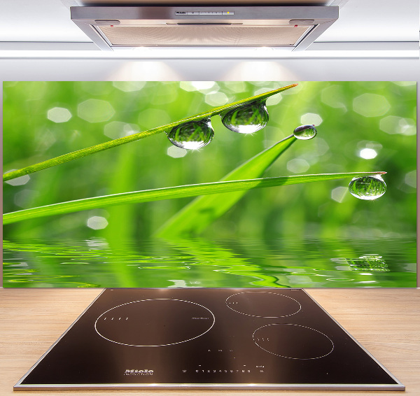 Glasrückwand für die küche Tropfen auf dem Gras