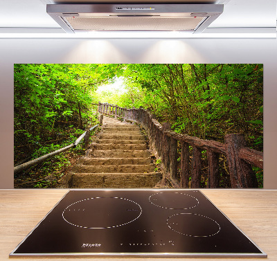 Glasrückwand für die küche Treppe im Wald