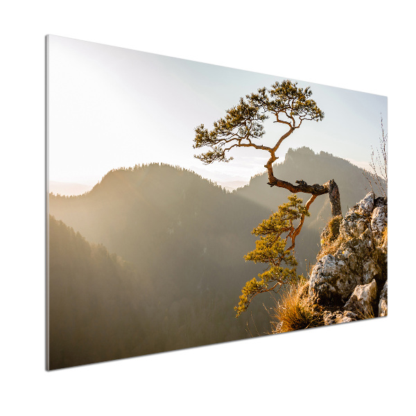 Küchen wandpaneel Sokolica Pieniny