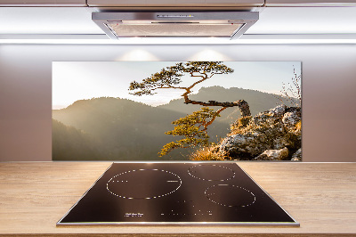 Küchen wandpaneel Sokolica Pieniny