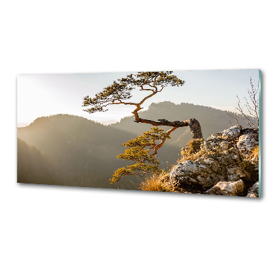 Küchen wandpaneel Sokolica Pieniny