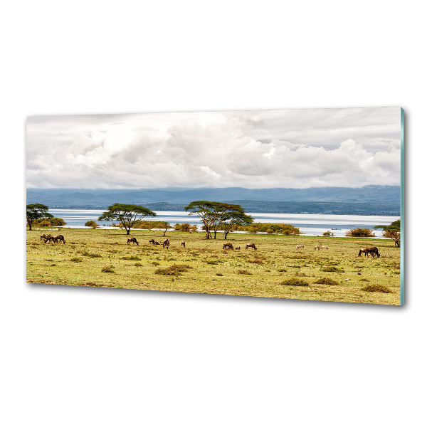 Platte für Küchenrückwand Naivasha-See