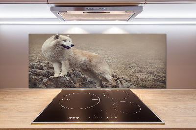 Platte für Küchenrückwand Weißer Wolf auf einem Felsen