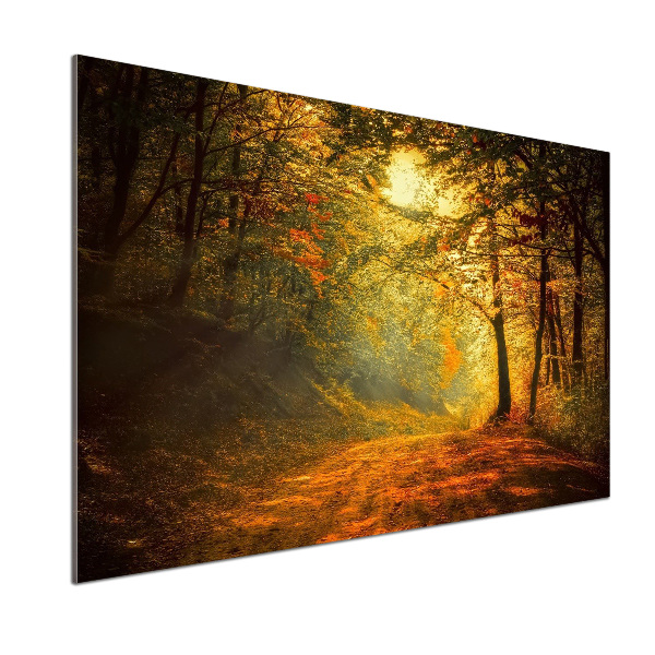 Glasrückwand für die küche Wald im Herbst