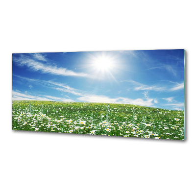 Platte für Küchenrückwand Wiese