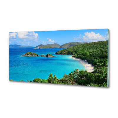 Glasrückwand für die küche Jungferninseln