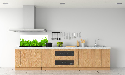 Glasrückwand für die küche Gras