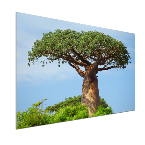 Platte für Küchenrückwand Baobab