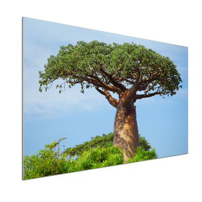 Platte für Küchenrückwand Baobab