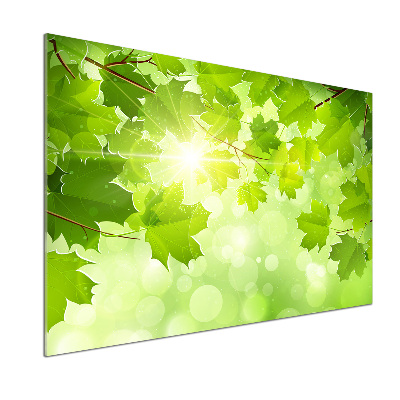 Küchen wandpaneel Rosskastanienblätter