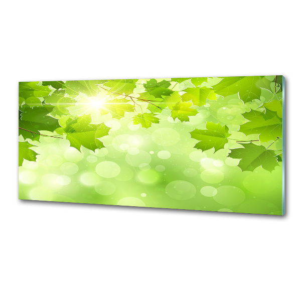 Küchen wandpaneel Rosskastanienblätter