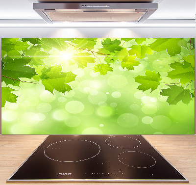 Küchen wandpaneel Rosskastanienblätter