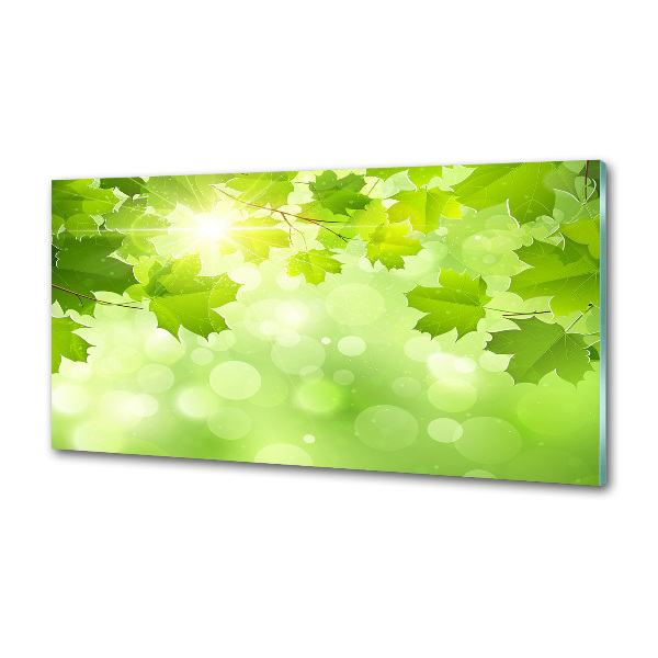 Küchen wandpaneel Rosskastanienblätter