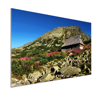 Platte für Küchenrückwand Schäferhütte im Tal