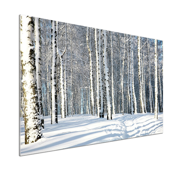 Glasrückwand für die küche Wald im Winter