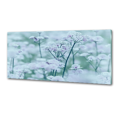 Platte für Küchenrückwand Großer Mantelkraut