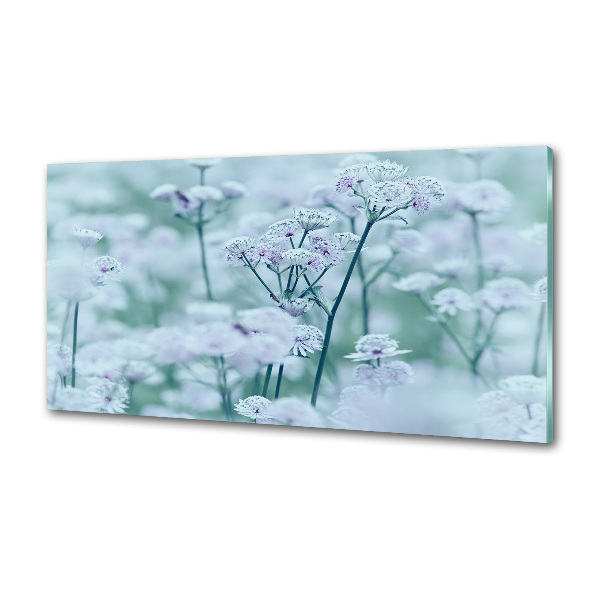 Platte für Küchenrückwand Großer Mantelkraut