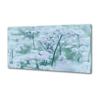 Platte für Küchenrückwand Großer Mantelkraut