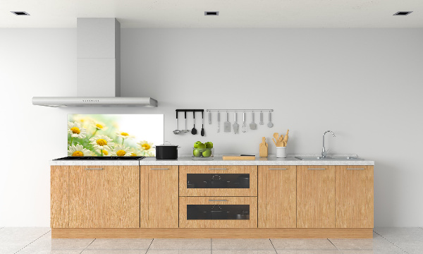 Glasrückwand für die küche Gänseblümchen