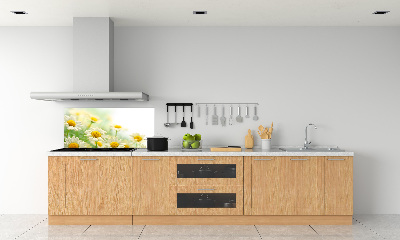 Glasrückwand für die küche Gänseblümchen