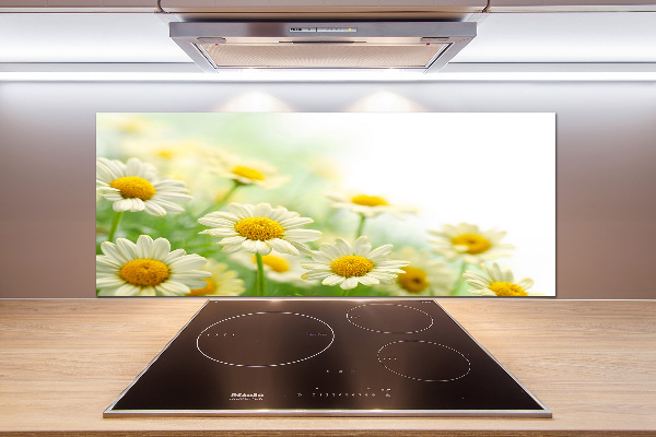 Glasrückwand für die küche Gänseblümchen