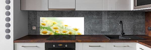 Glasrückwand für die küche Gänseblümchen