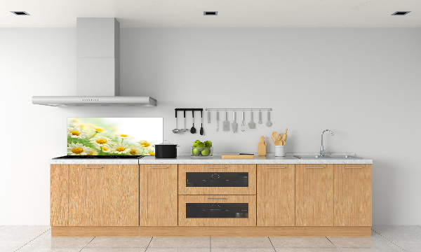 Glasrückwand für die küche Gänseblümchen