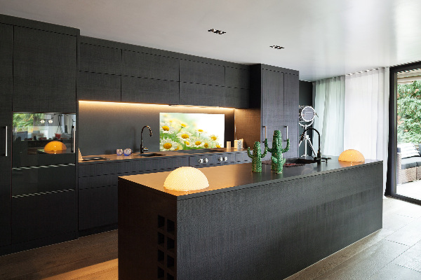 Glasrückwand für die küche Gänseblümchen