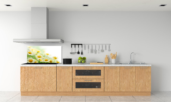 Glasrückwand für die küche Gänseblümchen