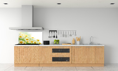 Glasrückwand für die küche Gänseblümchen