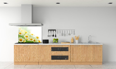 Glasrückwand für die küche Gänseblümchen