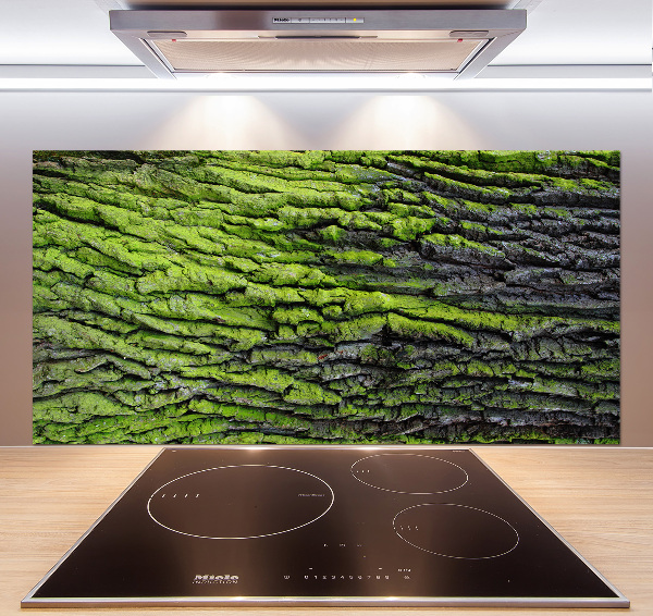 Platte für Küchenrückwand Baumrinde