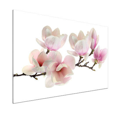 Küchen wandpaneel Magnolie