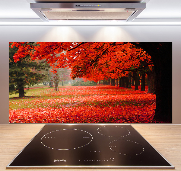 Glasrückwand für die küche Bäume im Herbst