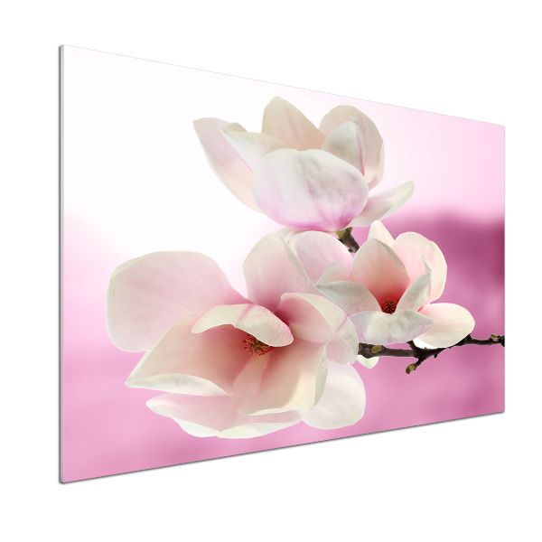 Platte für Küchenrückwand Magnolie