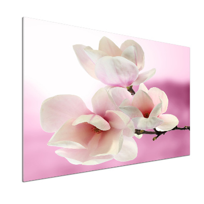 Platte für Küchenrückwand Magnolie