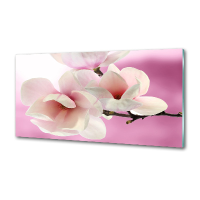Platte für Küchenrückwand Magnolie