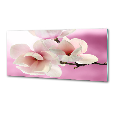 Platte für Küchenrückwand Magnolie
