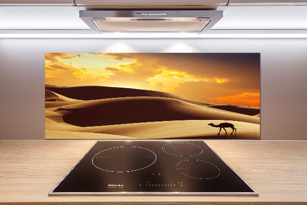 Glasrückwand für die küche Sahara-Kamel