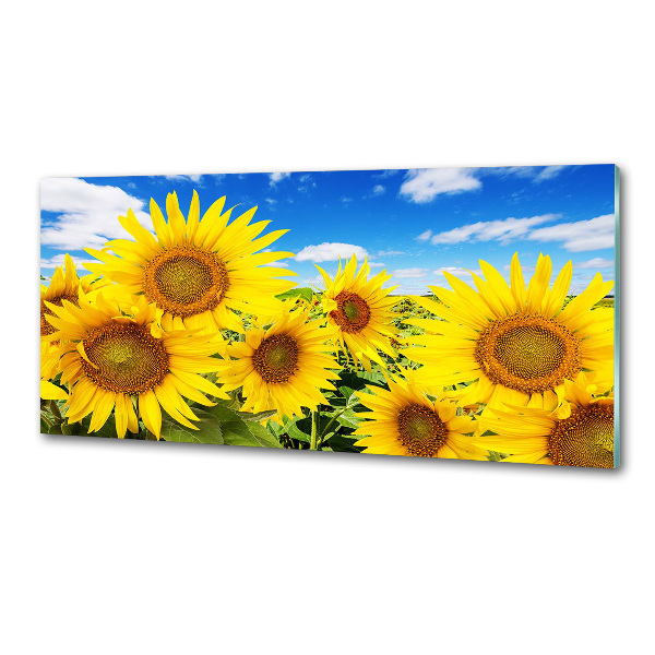 Glasrückwand für die küche Sonnenblumen