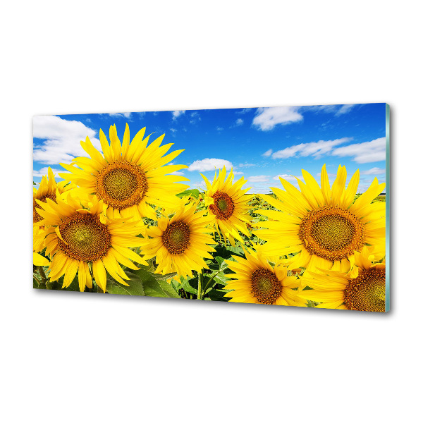 Glasrückwand für die küche Sonnenblumen