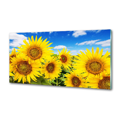Glasrückwand für die küche Sonnenblumen