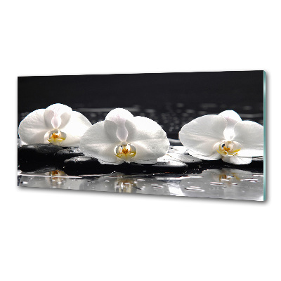 Platte für Küchenrückwand Orchidee