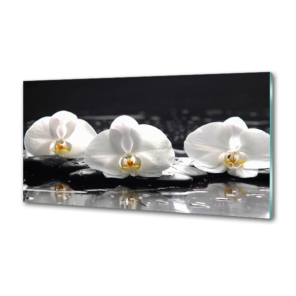 Platte für Küchenrückwand Orchidee