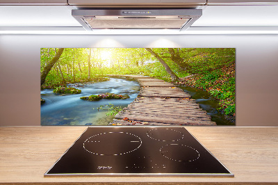 Küchen wandpaneel Pfad im Wald