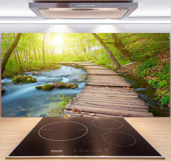 Küchen wandpaneel Pfad im Wald