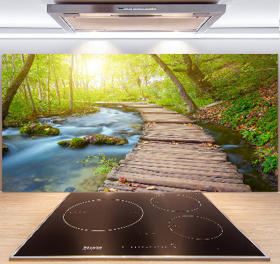 Küchen wandpaneel Pfad im Wald