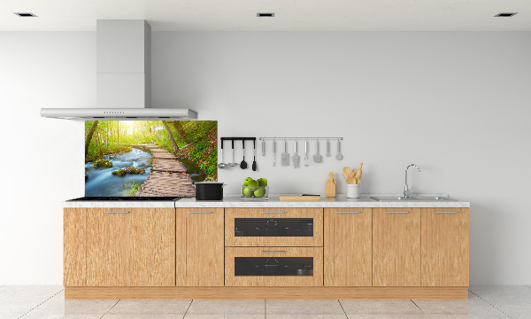 Küchen wandpaneel Pfad im Wald