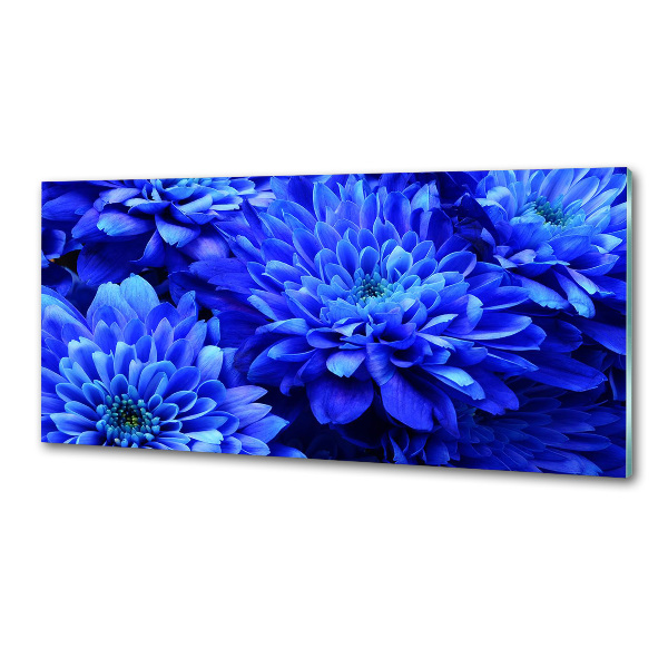 Küchen wandpaneel Blaue Aster